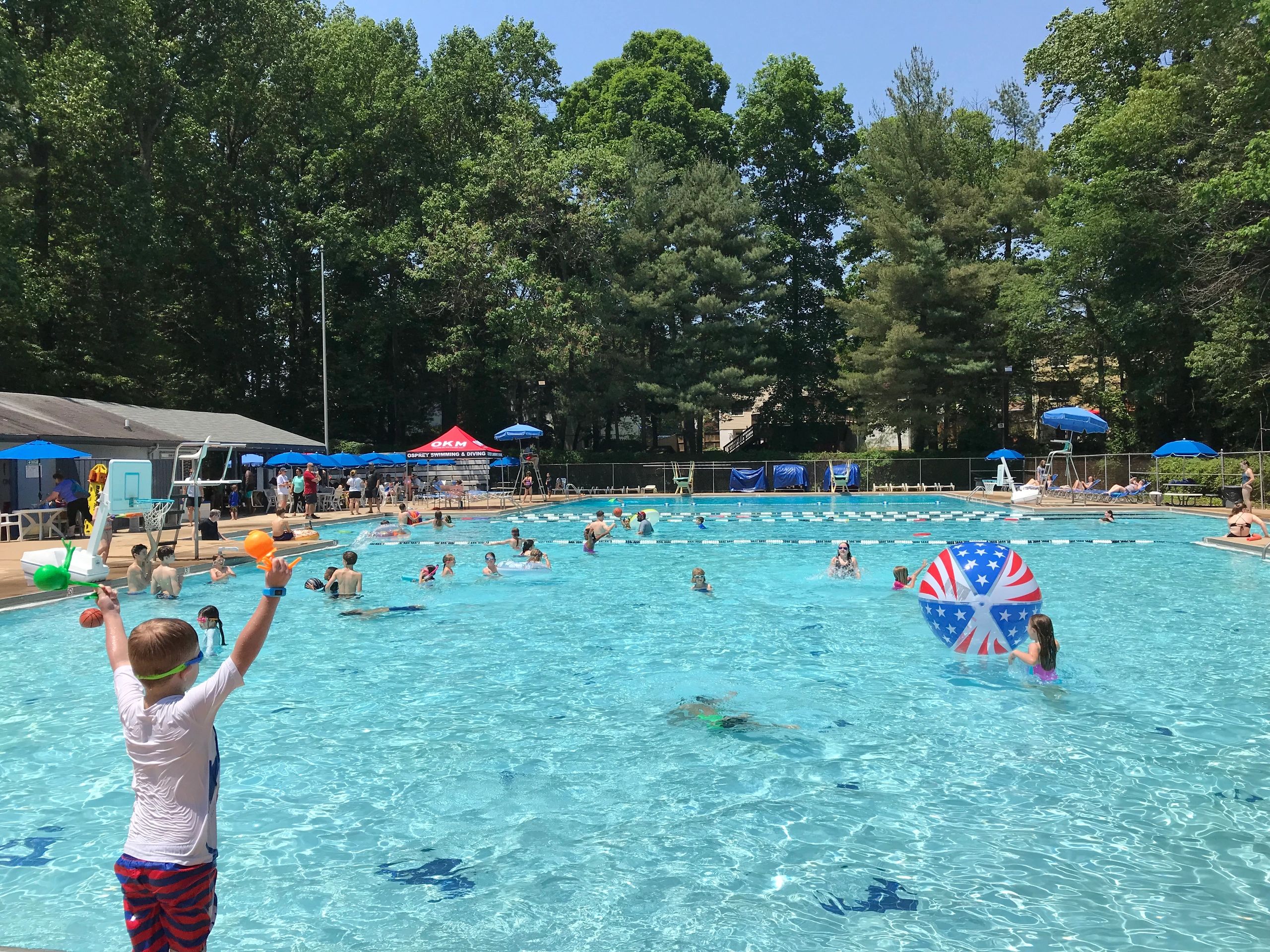 piranha swim club