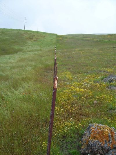 Fence line shows improved biodiversity on grazed rangleand versus ungrazed land. 