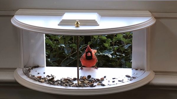 ClearView Window Feeder