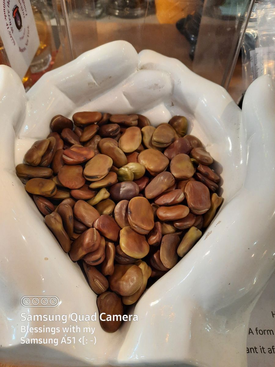 Mojo Bean {Bag of Ten}