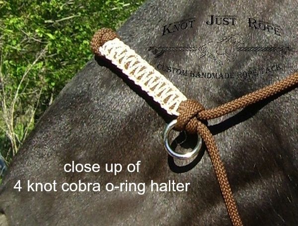 Review: Do or Do Knot Rope Halter – Centered in the Saddle