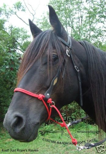 Indian Bosal Bitless Bridle Noseband Attachment Knot Just Rope