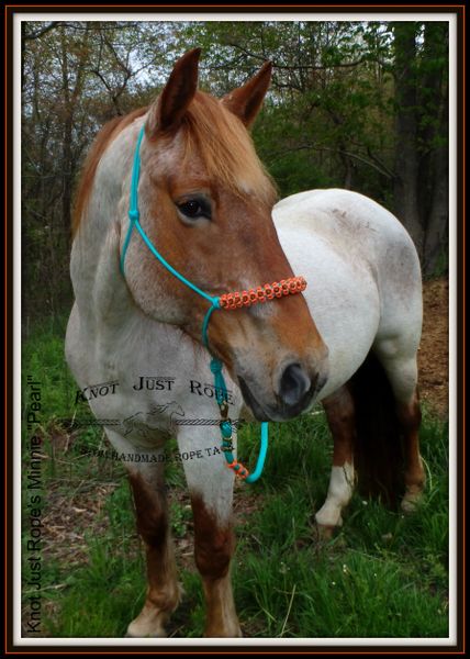 Cashel Cashel Floral Bronc Noseband Halter