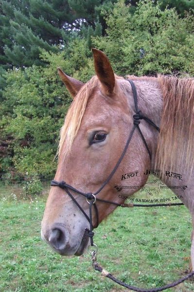 Natural Horsemanship Rope Hackamore Bitless Bridle Criss Cross