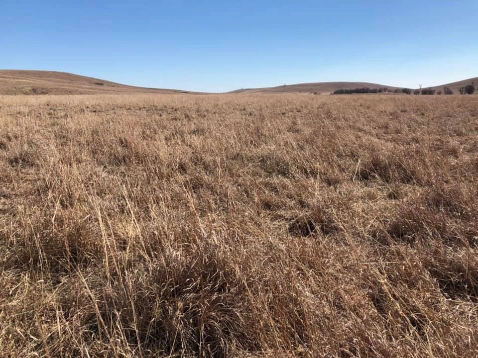 Rangeland and Pasture Consulting Oklahoma Plainsmen Land Consulting