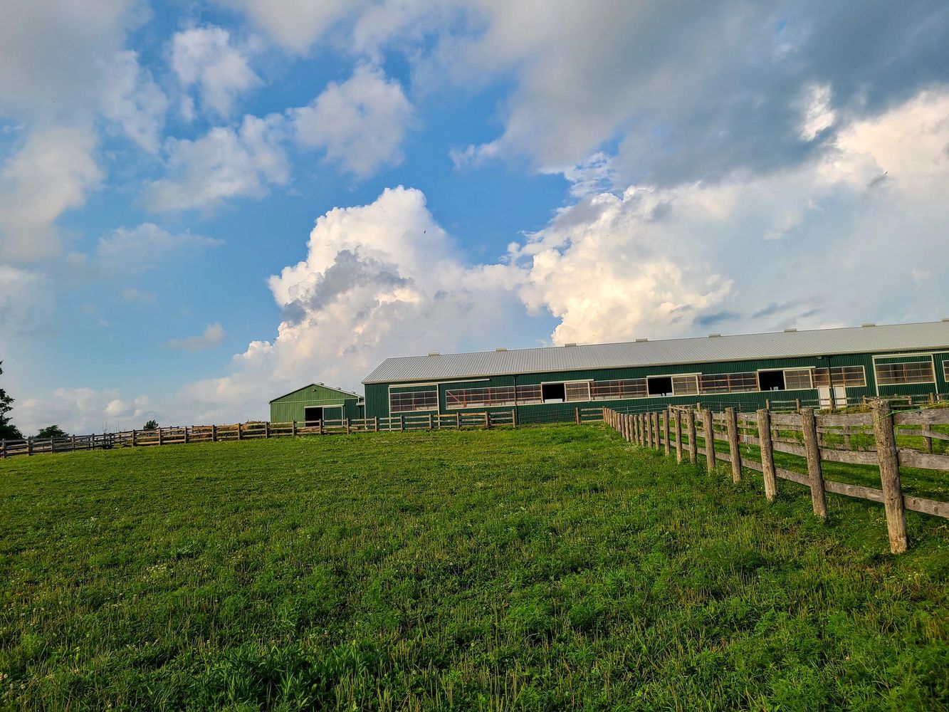 BR Equestrian horse boarding and riding lesson stable in Milton, Ontario