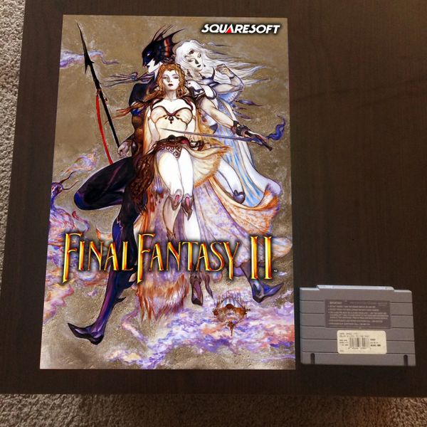 Final Fantasy II Poster (18x12 in)