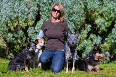 Dr Lloyd and her rescue dog pack.