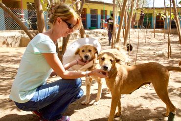 Dr Lloyd at Animal rescue, Rajasthan, India