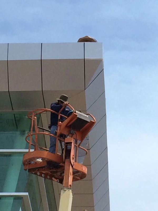 Defensoria Publica de Irapuato. Panel de Aluminio. Irapuato Gto.