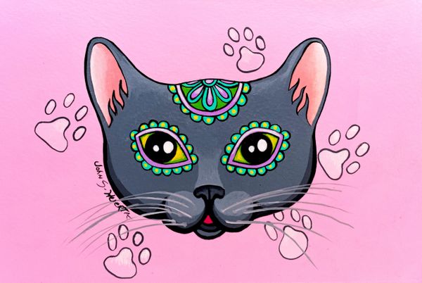 Gray sugarskull cat