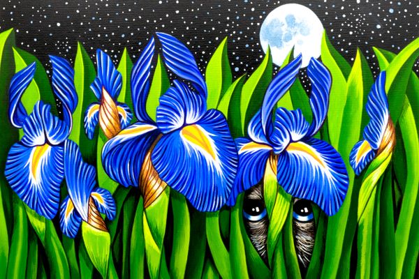 Irises in the moonlight