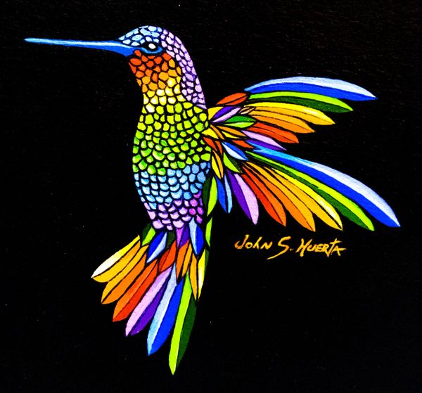 Rainbow Hummingbird