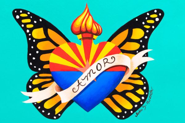 Arizona flag buttefly