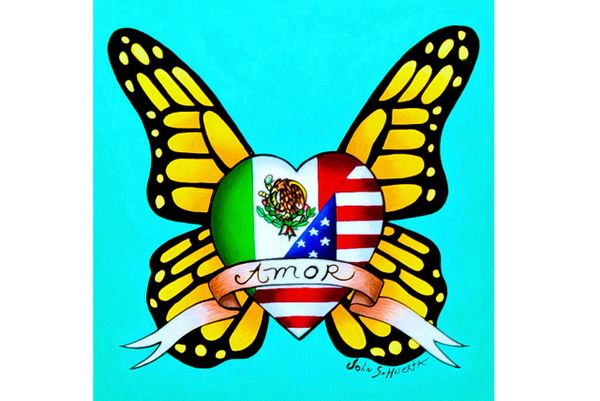 Mexican American flag butterfly