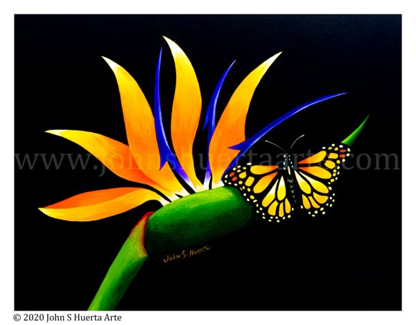 Bird of paradise with monarch butterfly