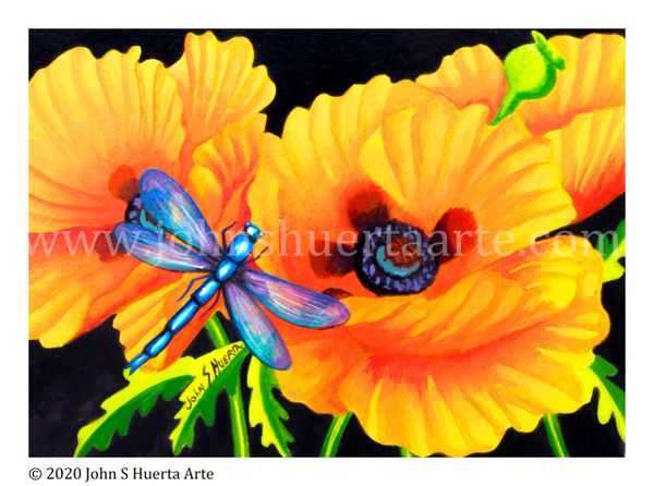 Poppies and a Dragonfly acrylic on watercolor paper