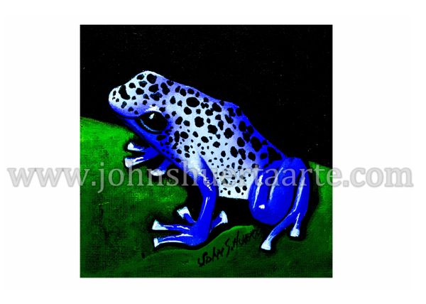 Blue tree frog art greeting card