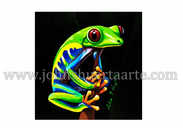 Red Eye Tree Frog art greeting card