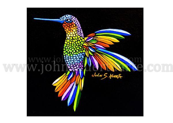 Rainbow Hummingbird