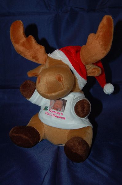personalised christmas reindeer teddy