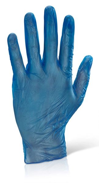 Powder Free Vinyl Disposable Gloves (100 pieces)