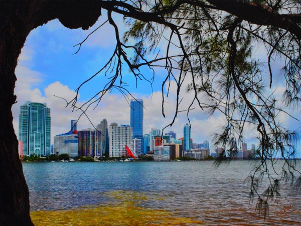 Brickell Bay, Miami by Rick De La Guardia