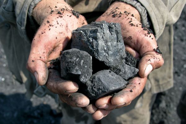 Blacksmithing Coal 50lbs 