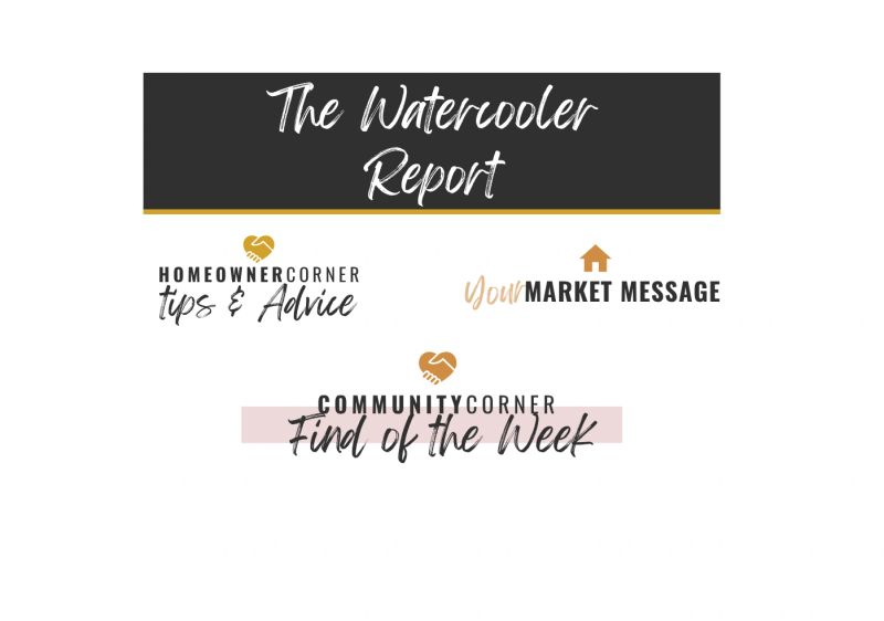 4.Blog_-_Watercooler_Report.png