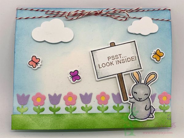 Bunny, Pop-Up Card, Cute Card, You Take The (Carrot) Cake