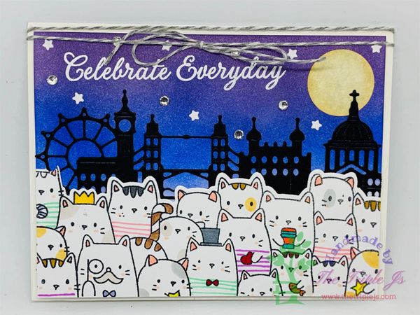 Celebrate Everyday, Cats, Night Scene