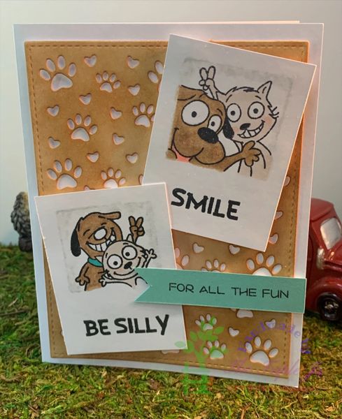 Dog, Cat, Be Silly, Smile, FOR ALL THE FUN