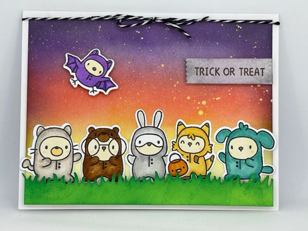 Trick or Treat, Costume, Cute Animals