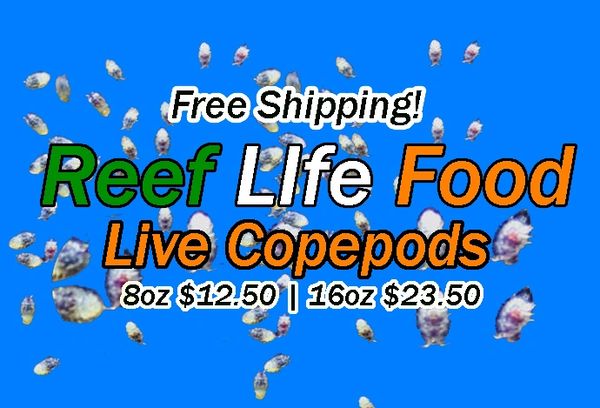 Reef Life Food Live Copepods $12.50 Free Shipping! | Saltwater Aquarium