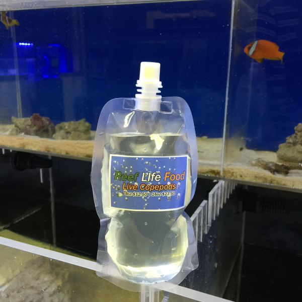 Live aquarium food for sale best sale