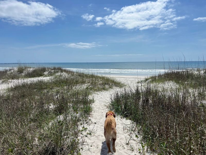 WS_Beach Trail.JPG