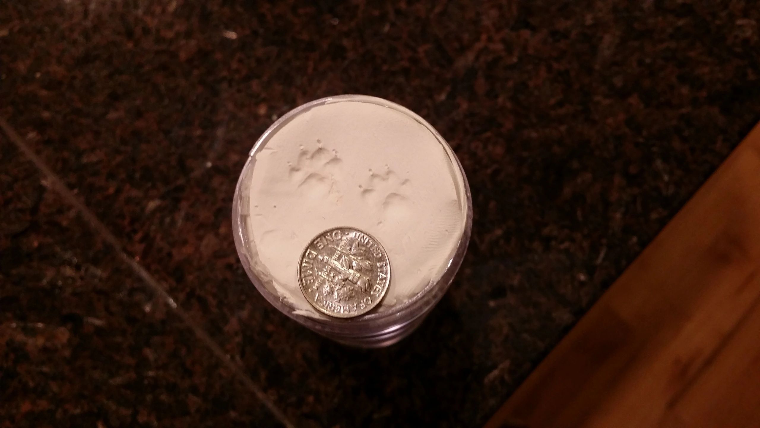 Totty's Colorado Yorkshire Terrier Yorkie Puppy's 1st Footprint Keepsake Inara's prints