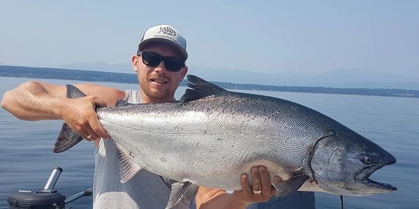 Big Chinook Salmon - Island Pursuit Sport Fishing Charters 