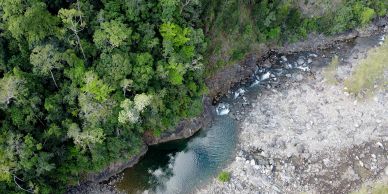 Aerial view of a river meeting a forest and rocky shore.