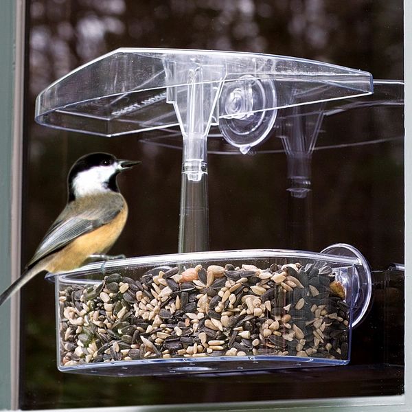 Window Bird Feeder