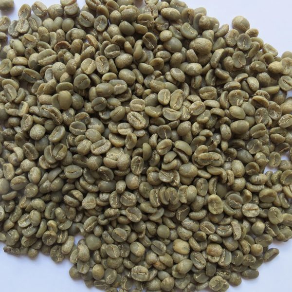 Unroasted Green Coffee Beans, 3 Pounds Café Las Misiones Specialty