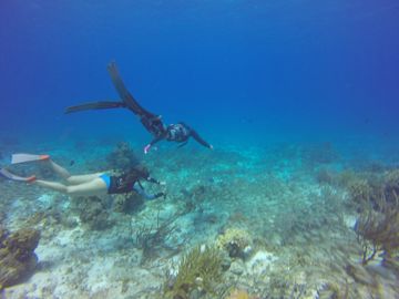 Freedive Cozumel