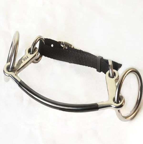 Pee Wee Horse Bit Fitting Up Video Explained