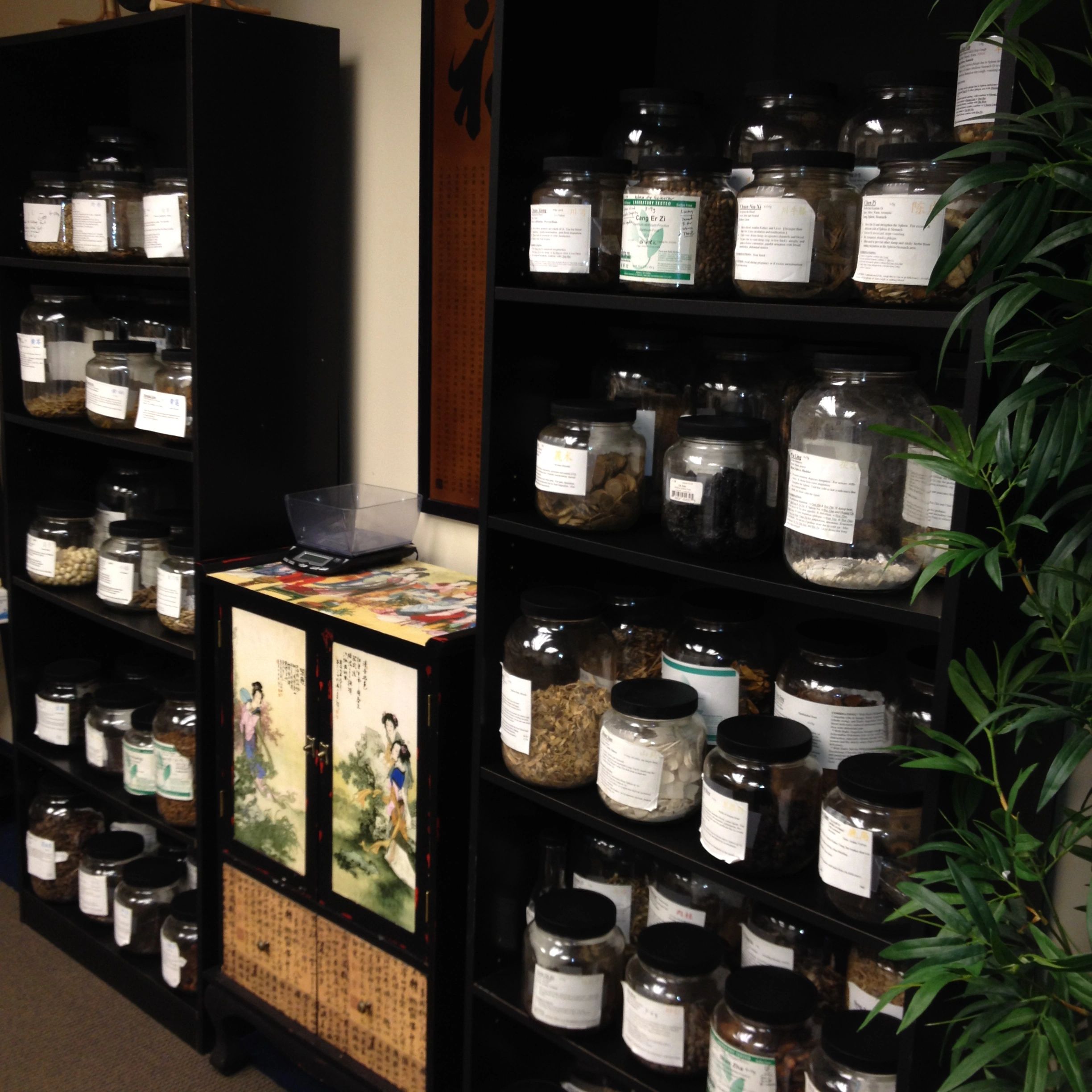 The raw fertility herbal  library at Dao Life Wellness. #Herbs #Fertility #Infertility #Immunity TEA