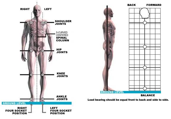 Functional Freddie- our blue print - how our posture should be 