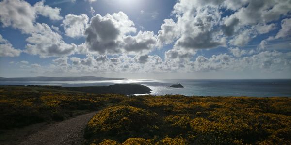 North Cliffs Coastpath