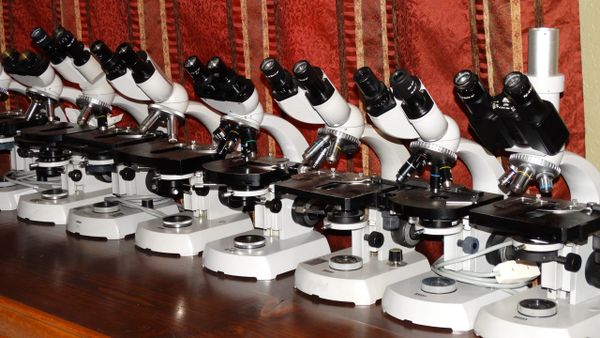 Build your own Used Zeiss Microscope