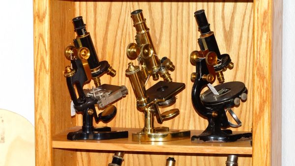 Vintage Microscopes