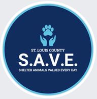 STL SAVE logo