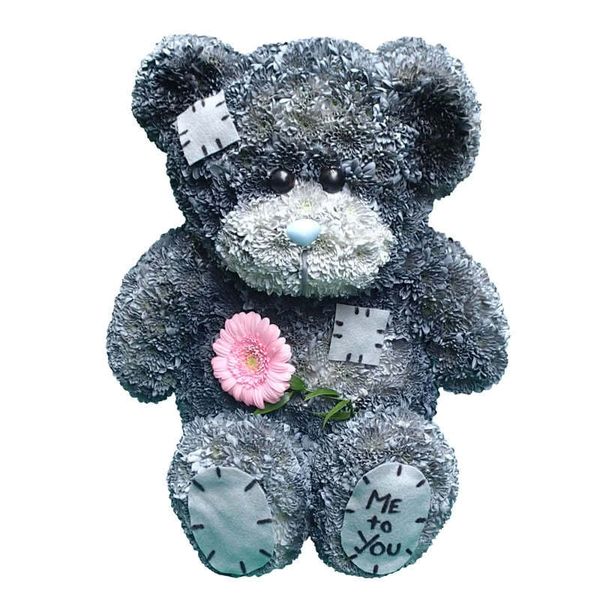 Oasis teddy cheap bear 3d